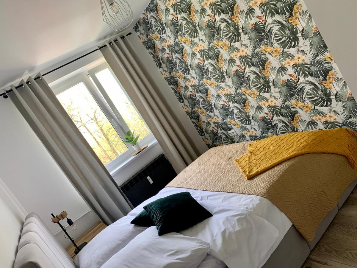 Apartament Forest Green Świeradów-Zdrój Esterno foto