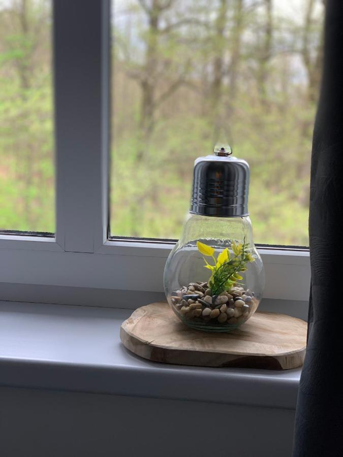 Apartament Forest Green Świeradów-Zdrój Esterno foto