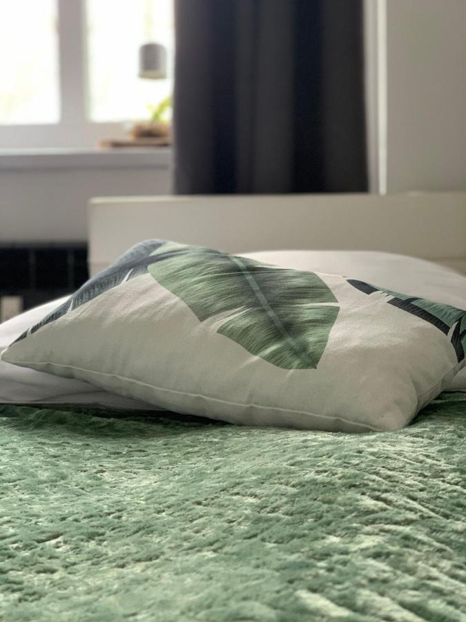 Apartament Forest Green Świeradów-Zdrój Esterno foto