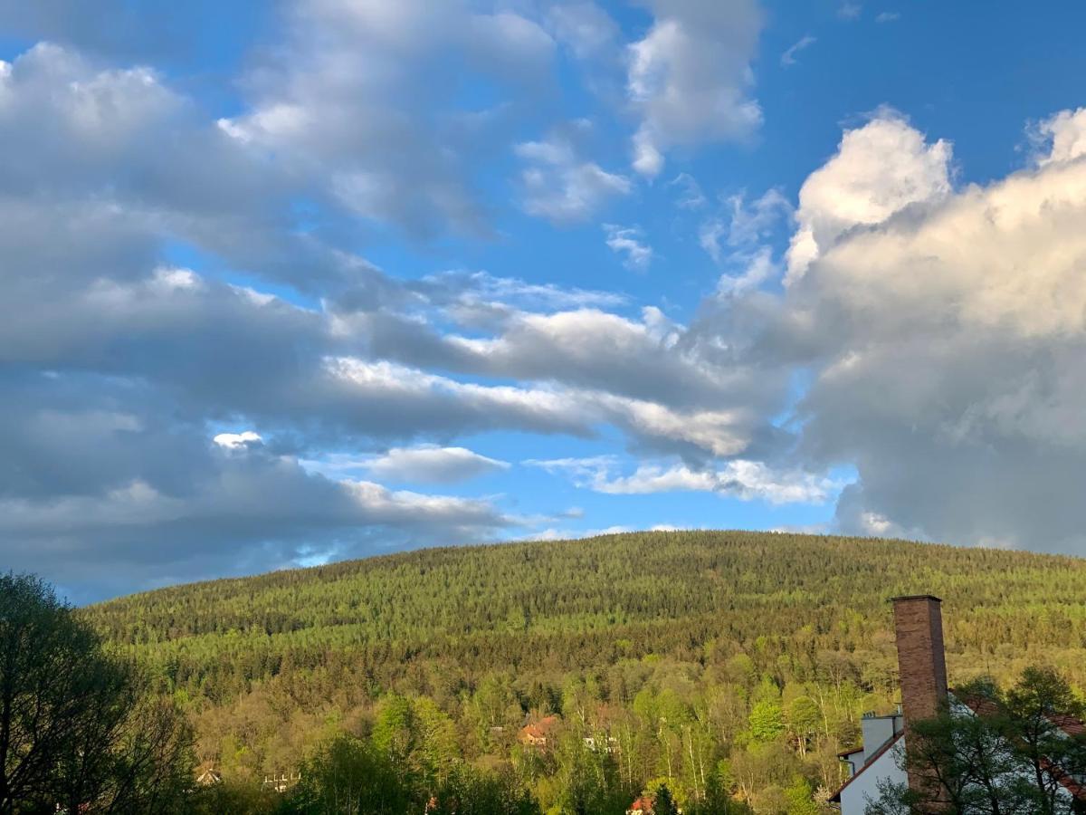 Apartament Forest Green Świeradów-Zdrój Esterno foto